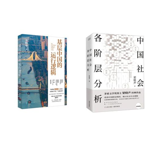 基层中国的运行逻辑+中国社会各阶层分析 商品图0