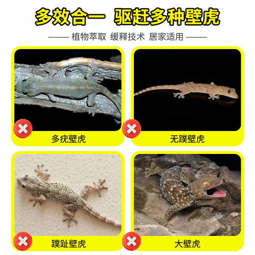 巨奇-壁虎趋避剂500ml 商品图3