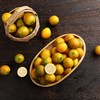 广西融安滑皮金桔蜜蛋中果2kg礼盒装(52-60粒/kg) 商品缩略图9