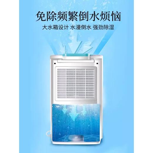 【高端专业品牌】 美国 森井电气（SEN Electric）家用除湿机家 除潮抽湿器干衣除菌净化 16L 商品图4