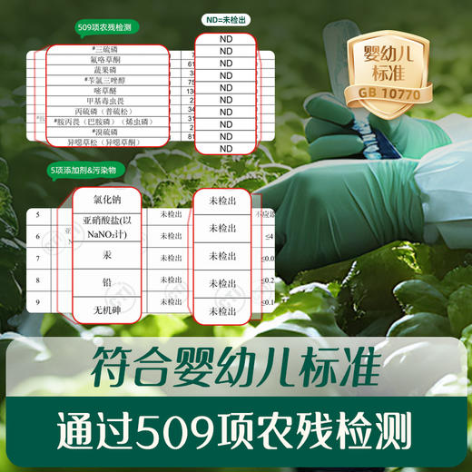 【双十一新品上市】英氏婴幼儿山药苹果裨养水4袋【57元任选3件+4件礼品】 商品图3