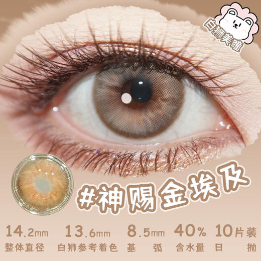 MoaaNeu日抛 · 亚马逊神庙/神赐金埃及&英国雨&新生米驼&猫咪创世纪&古着麻棕· 日抛10片装 商品图4