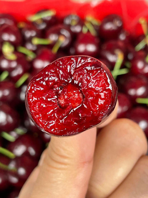 S顺丰包邮！进口智利桑提娜车厘子2J-4J*1斤/2斤/3斤/5斤 商品图5