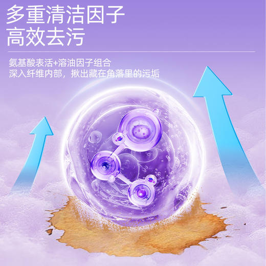 净狮真丝羊毛洗衣液1和羽绒服洗衣液组合链接 商品图6