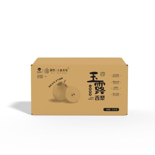 山西小西天隰县正宗玉露香梨10斤装 商品图0