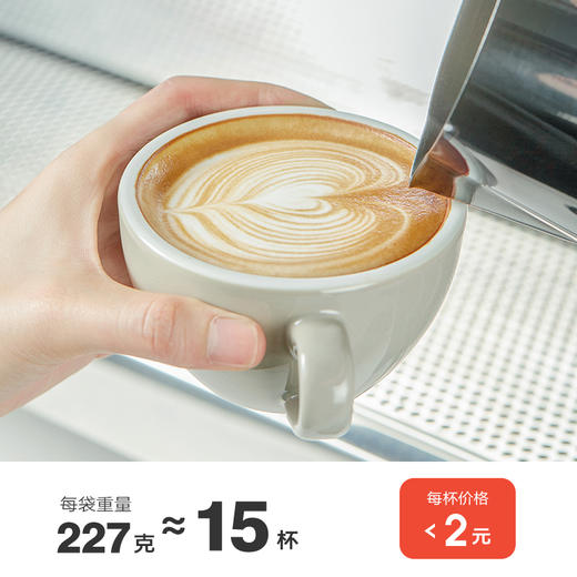 【新品】隅田川云南咖啡豆意式新鲜中深烘焙手冲黑咖啡227g 商品图1