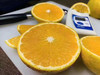 津津柚味甜桔柚 （毛重8斤左右） 商品缩略图1