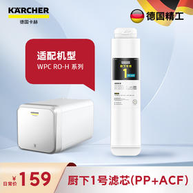 WPCRO-H厨下系列1号PP+ACF滤芯