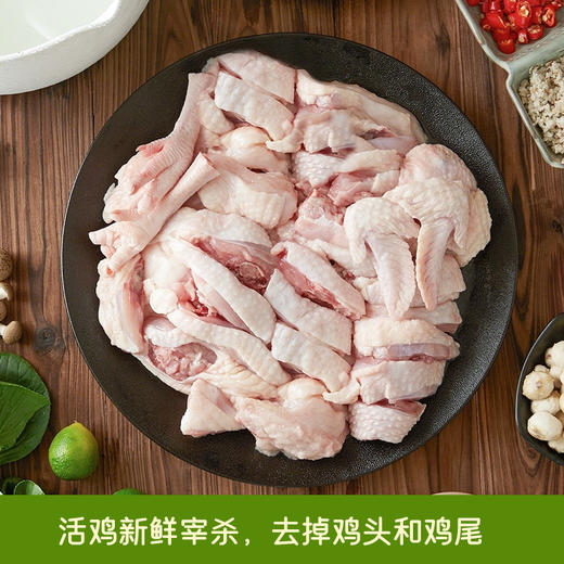 海南椰子鸡   椰林散养180天汤汁鲜香清甜 肉质紧实爽口 包含鸡肉+椰子水+配料+蘸料 简单易上手 预售7天 商品图2