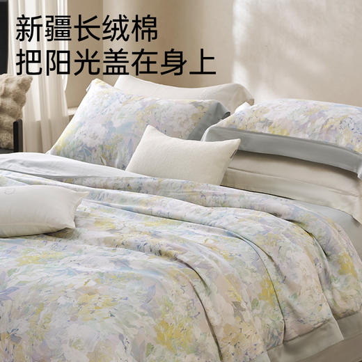 新疆长绒棉60支印花四件套(如烟) 商品图1