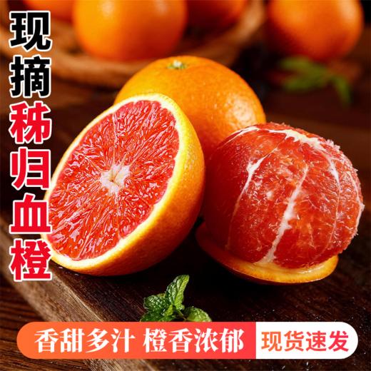 【果肉细腻】中华红橙（红肉脐橙） 净重4.5斤 香甜多汁橙香四溢 商品图0