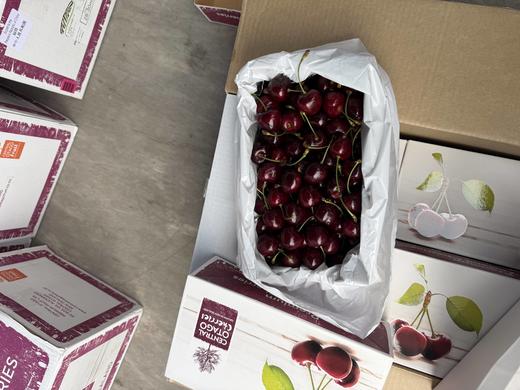 新西兰奥塔哥科迪亚车厘子298元1箱5斤装，明天到货 商品图5