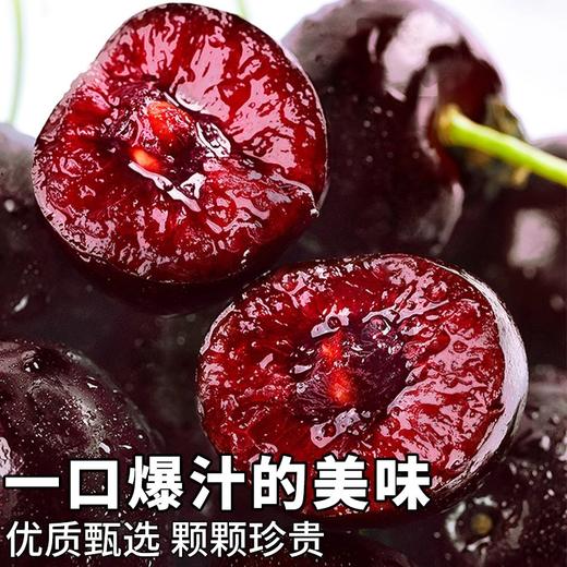 S顺丰包邮！进口智利桑提娜车厘子2J-4J*1斤/2斤/3斤/5斤 商品图2