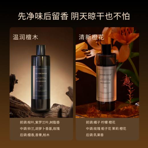 ⁴【密思家浓缩洗衣液正装】洗衣液200ml&内衣清洗液410ml 檀木/橙花味&精致浓缩衣物清洗液500ml 檀木/橙花味 YC04-TYYY 商品图8