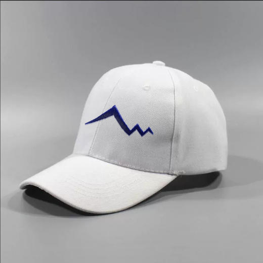 哈啤鸭舌帽 商品图0