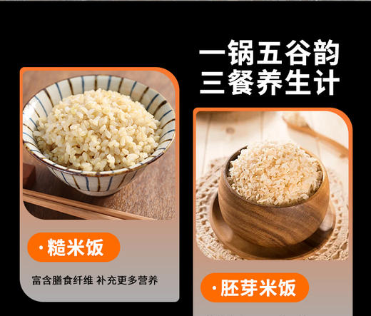 【同行精选】智能煮饭锅，专为糙米设计，胚芽米、精白米全能煮，6L家用容量，让古老谷物重获新生 商品图1
