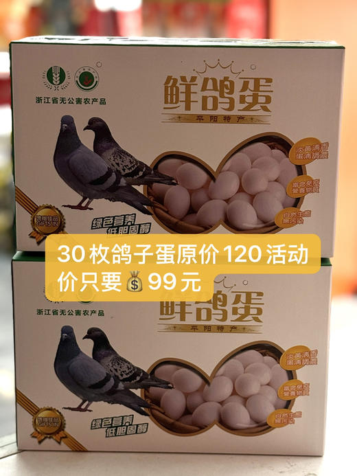 下单隔天到饲养/信鸽鸽子蛋30个装/50个礼盒装40小鸽蛋（只送灵溪）天热收到冰箱冷藏 商品图13