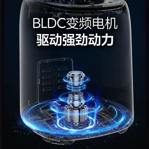 AUX/奥克斯内衣洗衣机洗脱烘干一体洗内裤机迷你洗袜子婴儿洗衣蒸煮 商品图2