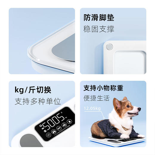 攀高智能体脂秤PG-F01白色精准测脂家用健康秤 商品图3
