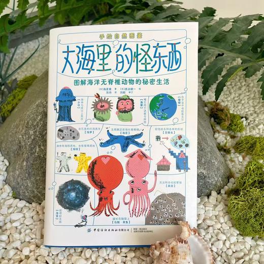 大海里的怪东西 商品图4