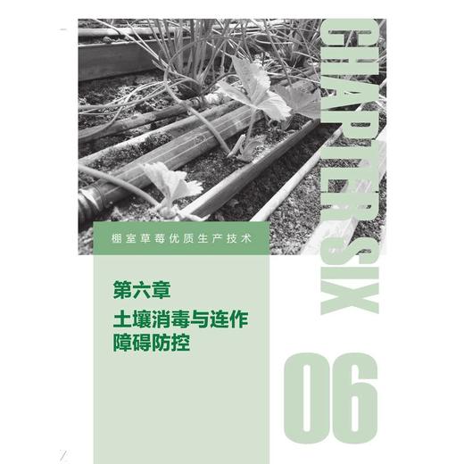 棚室草莓优质生产技术 商品图1