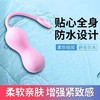 【物理缩阴 抓紧性福】司沃康Nova诺娃 缩阴球 凯格尔锻炼 阴道哑铃 商品缩略图2