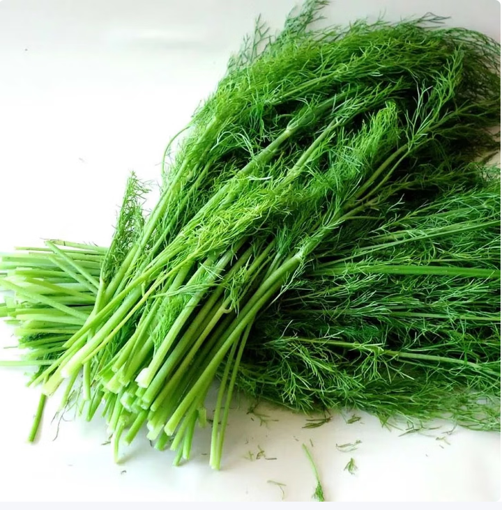 【QT】新鲜茴香菜带根小茴香河北