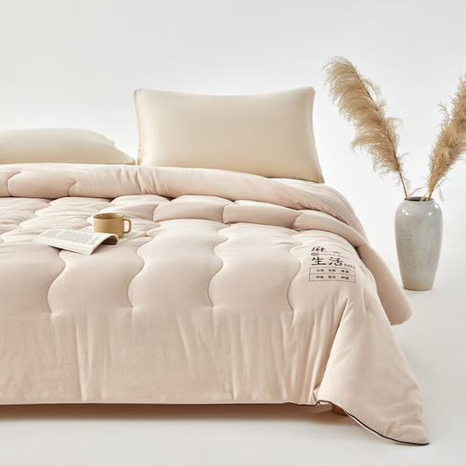 【分仓直发包邮】无印良品雪纺棉麻棉花被MJ-B2025-0166 商品图2