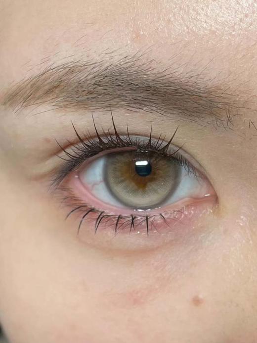 MoaaNeu 半年抛  重力起司 直径14.5mm着色13.8mm 商品图2