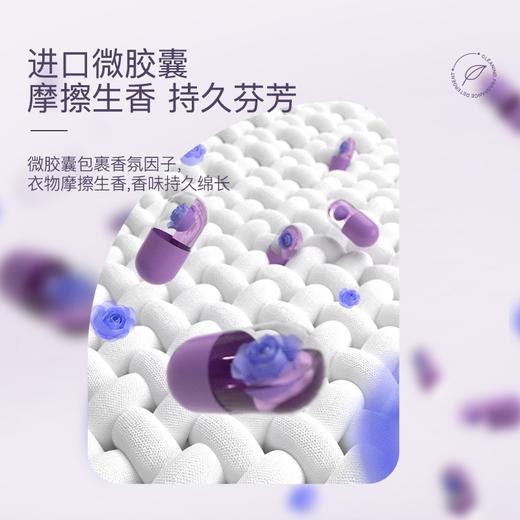 植护 香水/除菌留香/沁甜香氛洗衣皂液2kg/瓶 1瓶 商品图7