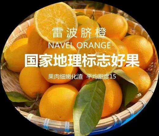 雷波挤橙 商品图0