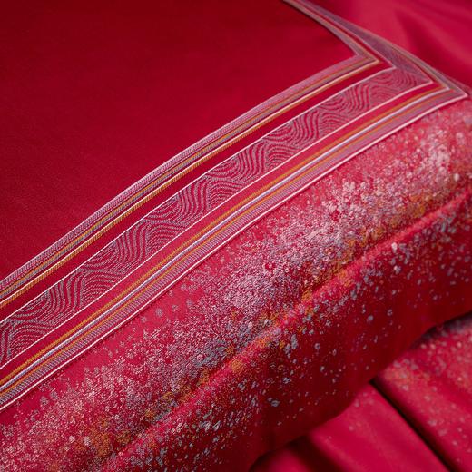 恐龙家纺XX 【星月之舞】80S全棉色织提花婚庆四件套（线下专柜款） 商品图4