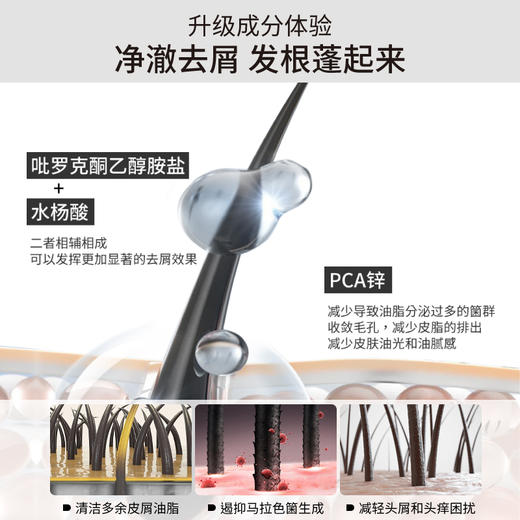 发玛21 蓬松去屑洗发水 600ml 商品图3