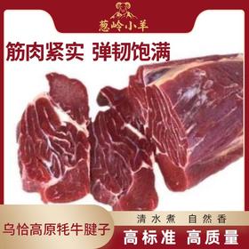 【品牌 葱岭小羊】乌恰高原牦牛腱子肉2kg