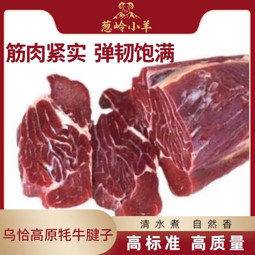 【品牌 葱岭小羊】乌恰高原牦牛腱子肉2kg 商品图0
