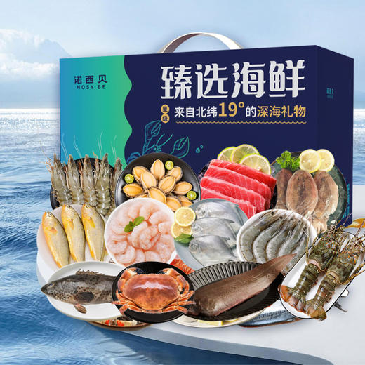 诺西贝海鲜-2198型【鲜知20.0】 商品图0