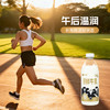 天润（TERUN）新疆产地  鲜牛奶巴氏杀菌鲜奶 低温奶 早餐伴侣950ml*1瓶 商品缩略图4