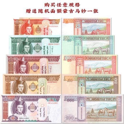 【下单即赠：鉴赏展示台+蒙古马图腾钞】《马跃新程》2026丙午马年生肖贺岁系列  龙年蛇年马年纪念钞 纪念币 邮票  大全套  【预售，1.21起按订单顺序发货】 商品图7