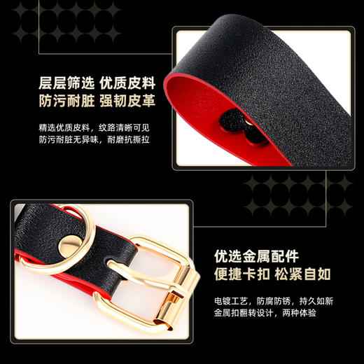 【红黑双面】谜姬 DIY字母套装 sm全身束缚捆绑 商品图3