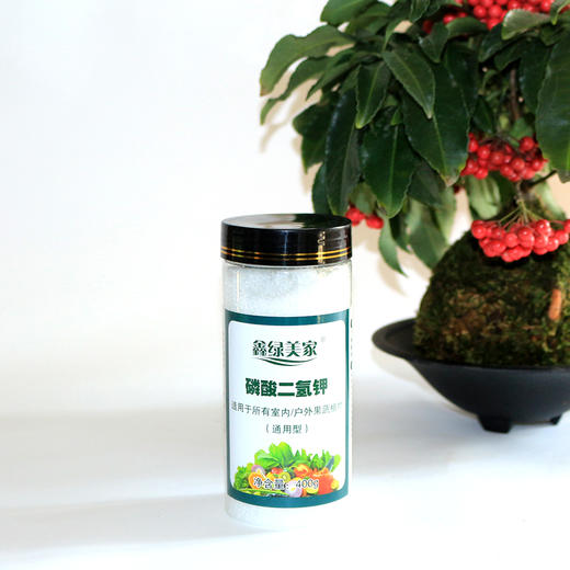 种花养花家庭园艺花肥（鑫绿美家） 商品图5