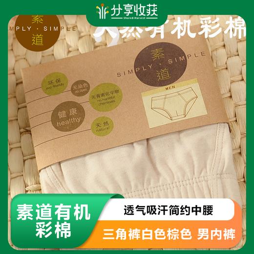【店长推荐】素道有机彩棉内裤男 透气吸汗简约中腰三角裤白色棕色 商品图0