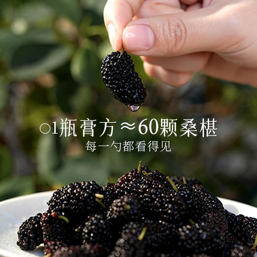 杏林方记·【乌梅归椹膏】女性滋补改善体质乌梅桑葚膏酸甜好喝无添加 商品图1