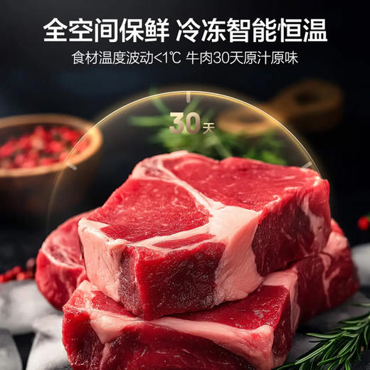 海尔（Haier）冰箱 BCD-503WGHFD14GYU1（白） 商品图2