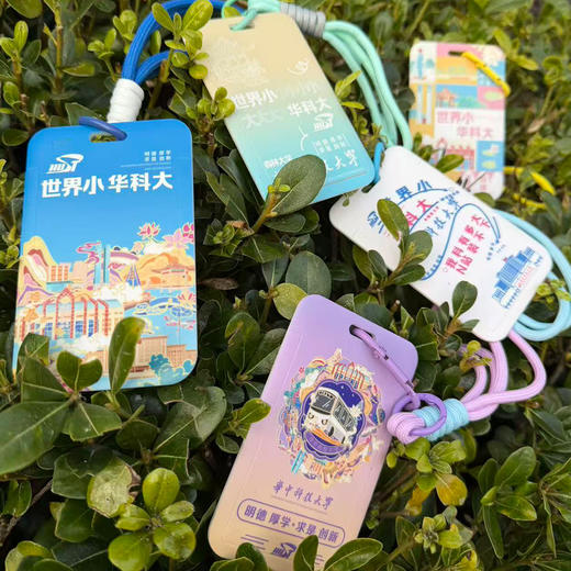 彩色挂绳卡套 商品图4