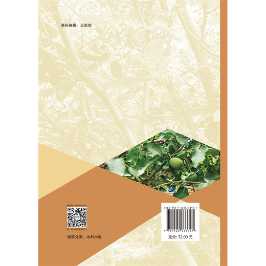 地下滴灌玉米、核桃耗水规律和水氮耦合效应研究 商品图1