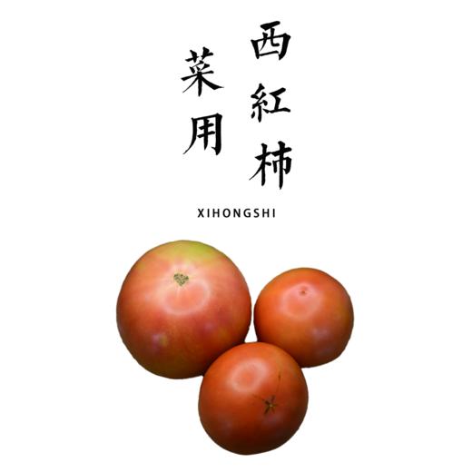 合作| 菜用西红柿  750g（小果居多，可做鲜食） 商品图0