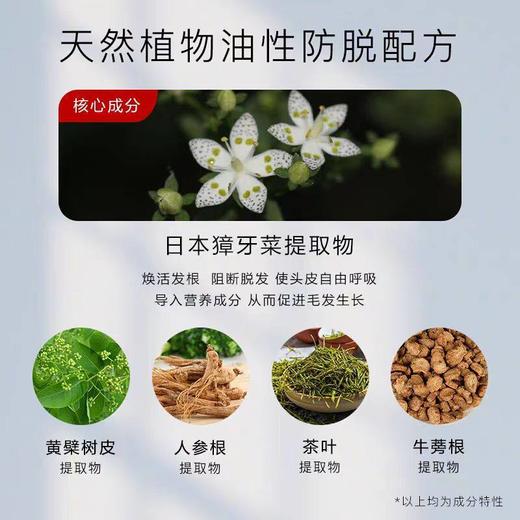 卡蓓诺防脱洗发水固发护发精华液蓬松控油柔顺防脱发洗发露液进口 商品图2