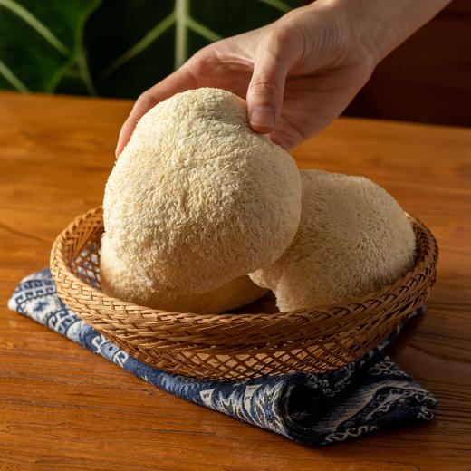 鲜猴头菇|嫩滑鲜美，可煲汤/熬粥/凉拌，比肉好吃 商品图2