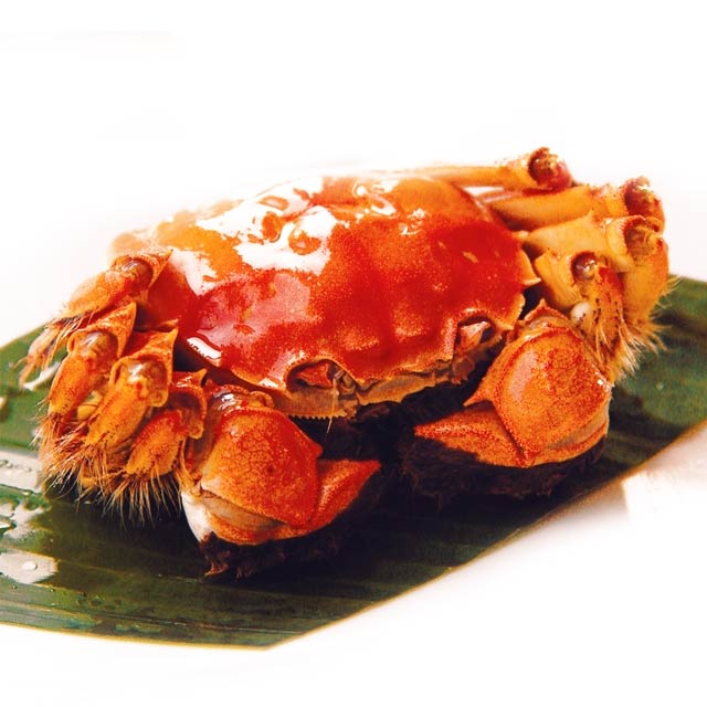 【自营】泗洪大闸蟹8只装