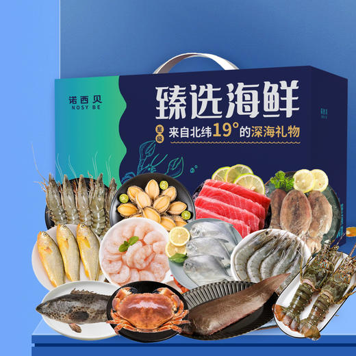诺西贝海鲜-2198型【鲜知20.0】 商品图1